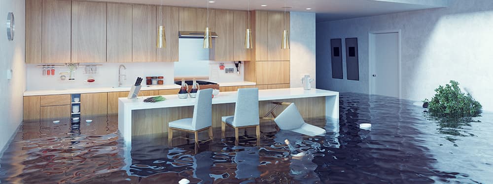 Prevention capsules - Water damages Prevention capsules - Water damages